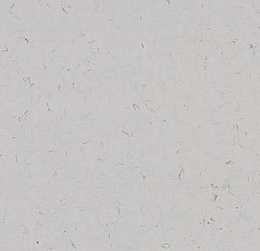 Кварцвиниловые полы Forbo Allura Colour/Colour Plus C68037-651037 cloud фото 1 | FLOORDEALER